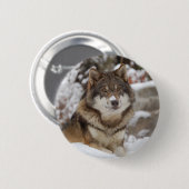 Badge Rond 5 Cm Loup d'hiver (Devant & derrière)