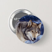 Badge Rond 5 Cm Loup d'hiver 2 (Devant & derrière)