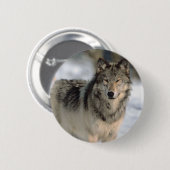 Badge Rond 5 Cm Loup vigilant (Devant & derrière)