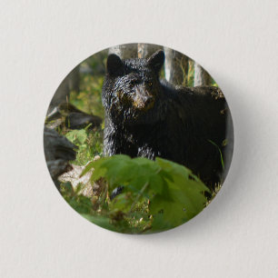 Badge Rond 5 Cm L'ours noir se cache en forêt Photo de la faune