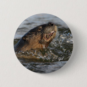 Badge Rond 5 Cm loutre de rivière