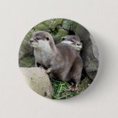 BADGE ROND 5 CM LOUTRES (Devant)