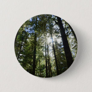 Badge Rond 5 Cm Lumière du soleil à travers les pins