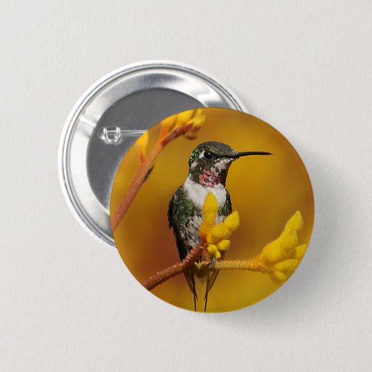 Badge Rond 5 Cm Luminosité dorée (Devant & derrière)