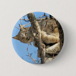 Badge Rond 5 Cm Lynx espiègle