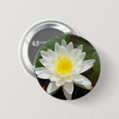 Badge Rond 5 Cm Lys d'eau (Devant & derrière)