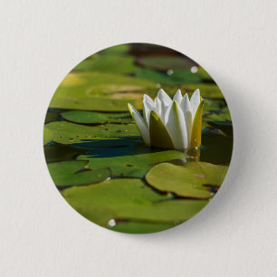 Badge Rond 5 Cm Lys d'eau