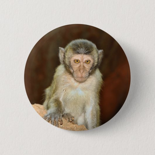 Badge Rond 5 Cm macaque (Devant)