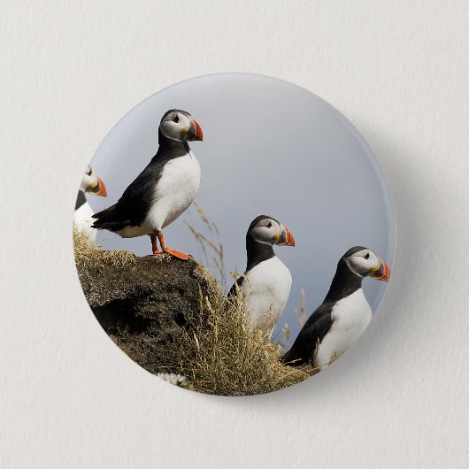 Badge Rond 5 Cm Macareux (Devant)