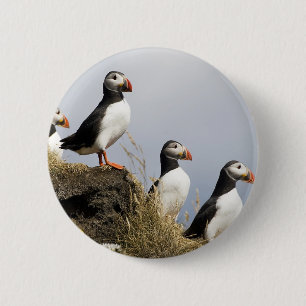 Badge Rond 5 Cm Macareux