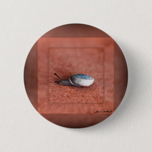Badge Rond 5 Cm Macro Photographie d'Escargot sur Terre Cuite