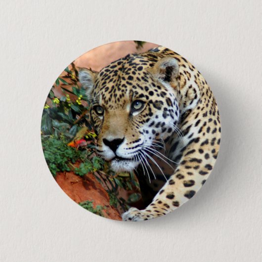 Badge Rond 5 Cm Macro Stalking Leopard (Devant)