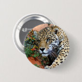 Badge Rond 5 Cm Macro Stalking Leopard (Devant & derrière)