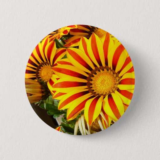 Badge Rond 5 Cm Magnifique Gazanie (Devant)