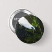 Badge Rond 5 Cm Mainate de Bali (Devant & derrière)