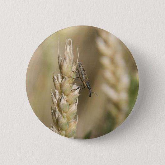 Badge Rond 5 Cm Mal (Devant)