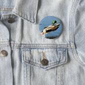 Badge Rond 5 Cm Mallard Drake prend le vol (En situation)
