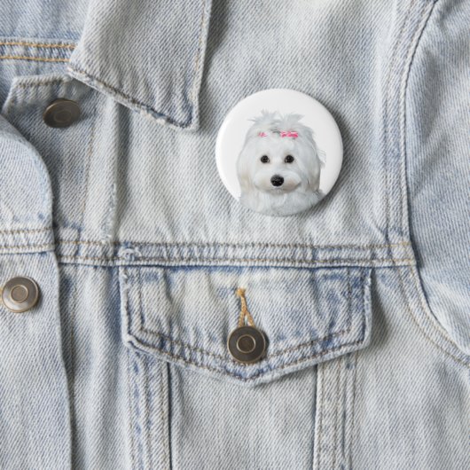 Badge Rond 5 Cm Maltais en blanc adorable chiot merveille (En situation)