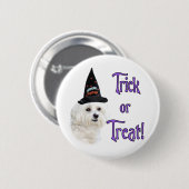 Badge Rond 5 Cm Maltese Trick (Devant & derrière)