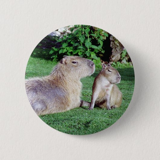 Badge Rond 5 Cm Maman de Capybara et bouton de fils (Devant)