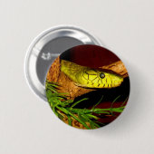 Badge Rond 5 Cm Mamba vert (Devant & derrière)