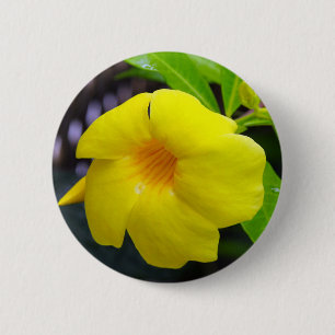 Badge Rond 5 Cm Mandevilla jaune