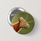 Badge Rond 5 Cm Mante curieuse (Devant & derrière)