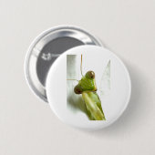Badge Rond 5 Cm Mantids (Devant & derrière)