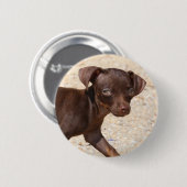 Badge Rond 5 Cm Marche de chiot de chiwawa (Devant & derrière)