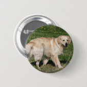 Badge Rond 5 Cm Marche de golden retriever (Devant & derrière)