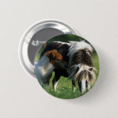 Badge Rond 5 Cm Mare et poulains miniatures 2 (Devant & derrière)