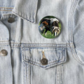 Badge Rond 5 Cm Mare et poulains miniatures 2 (En situation)