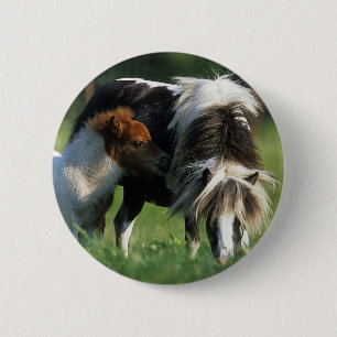 Badge Rond 5 Cm Mare et poulains miniatures 2