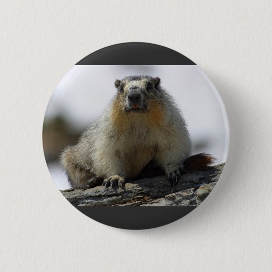 Badge Rond 5 Cm Marmot gonflé par jaune (Devant)