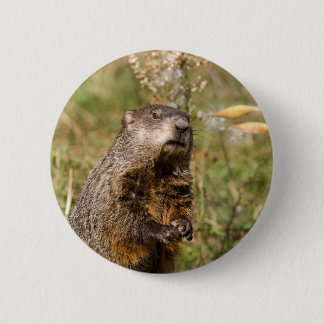 Badge Rond 5 Cm Marmotte