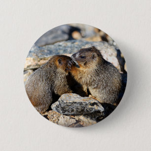 Badge Rond 5 Cm marmotte