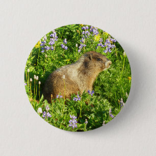 Badge Rond 5 Cm Marmotte dans les fleurs sauvages du mont Rainier