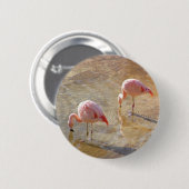 Badge Rond 5 Cm Matin de Flamant rose (Devant & derrière)