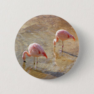 Badge Rond 5 Cm Matin de Flamant rose