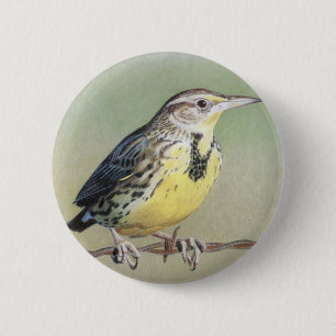 Badge Rond 5 Cm Meadowlark occidental
