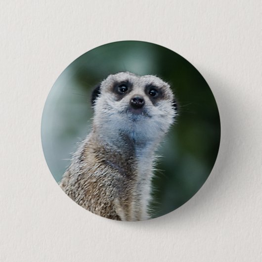 Badge Rond 5 Cm Meerkat (Devant)
