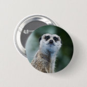 Badge Rond 5 Cm Meerkat (Devant & derrière)