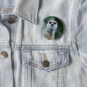 Badge Rond 5 Cm Meerkat (En situation)