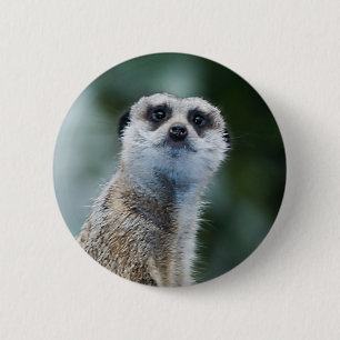 Badge Rond 5 Cm Meerkat