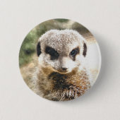 BADGE ROND 5 CM MEERKAT (Devant)