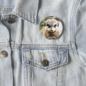 BADGE ROND 5 CM MEERKAT (En situation)