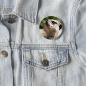 BADGE ROND 5 CM MEERKAT (En situation)