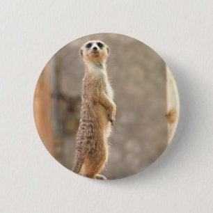 Badge Rond 5 Cm Meerkat au bouton d'attention