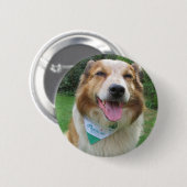 Badge Rond 5 Cm mélange de cônes (Devant & derrière)