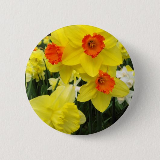 Badge Rond 5 Cm Mélange de jonquille simple (Devant)